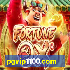 pgvip1100.com