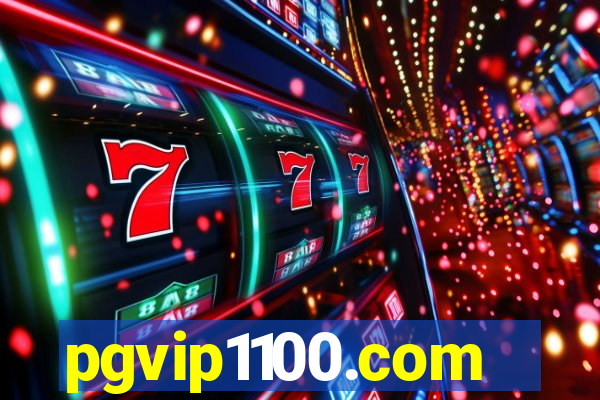 pgvip1100.com