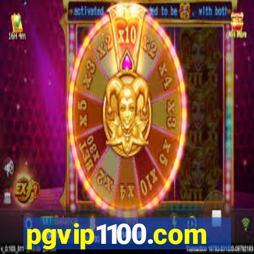 pgvip1100.com