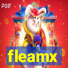 fleamx