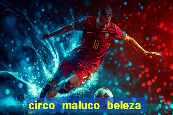 circo maluco beleza recife circo maluco