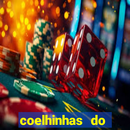 coelhinhas do brasil recife
