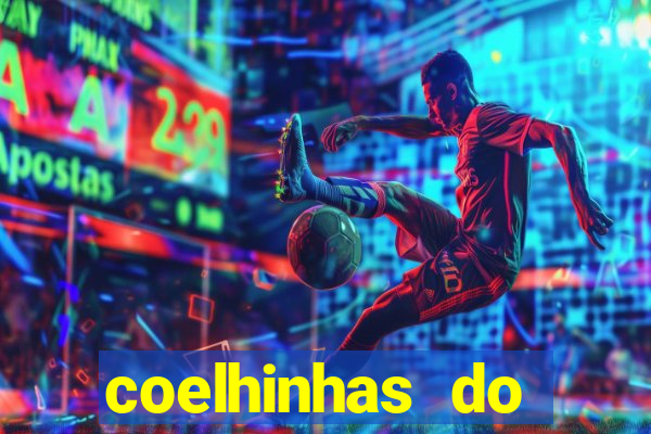 coelhinhas do brasil recife