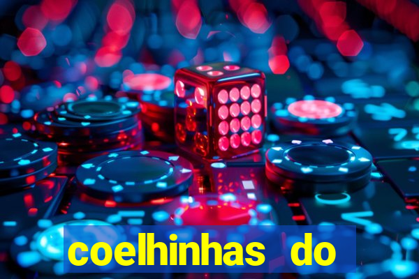 coelhinhas do brasil recife