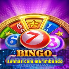 sonhar com marimbondo