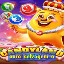 ouro selvagem o que aconteceu na vida