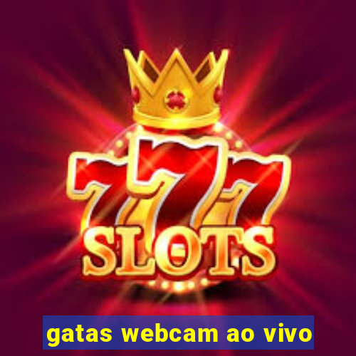 gatas webcam ao vivo