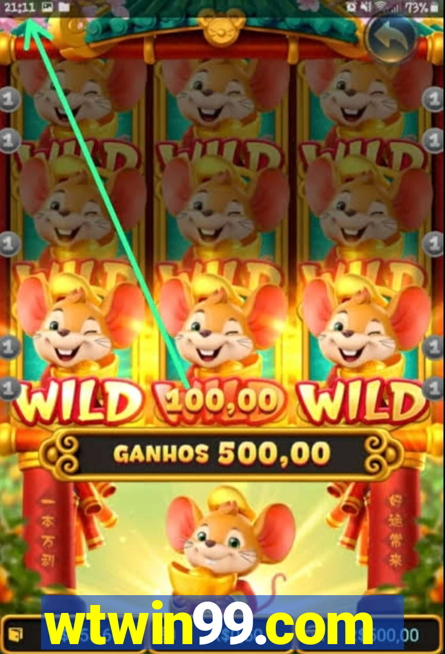 wtwin99.com