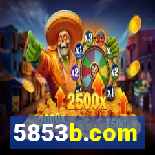 5853b.com
