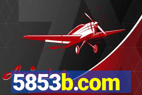 5853b.com