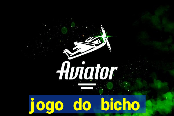jogo do bicho crash bingo
