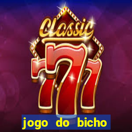 jogo do bicho crash bingo