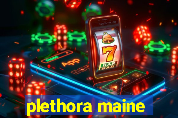 plethora maine