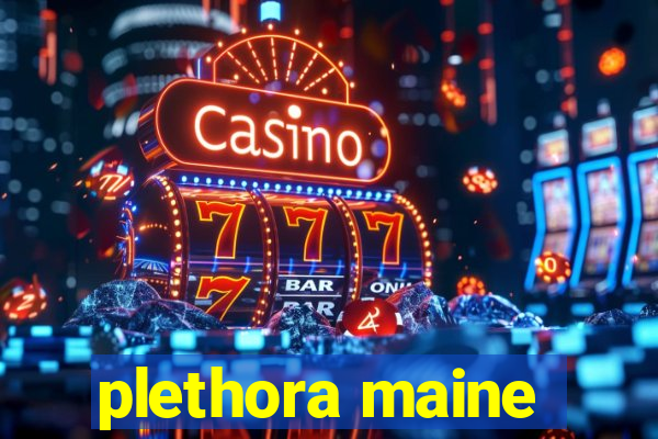 plethora maine