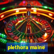 plethora maine