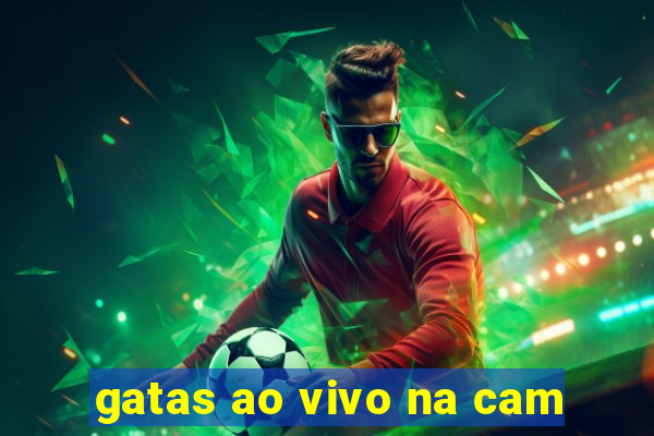 gatas ao vivo na cam
