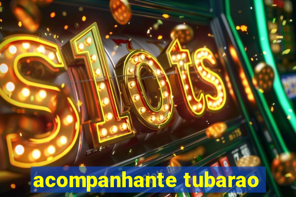 acompanhante tubarao