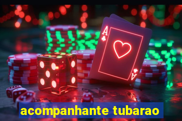 acompanhante tubarao