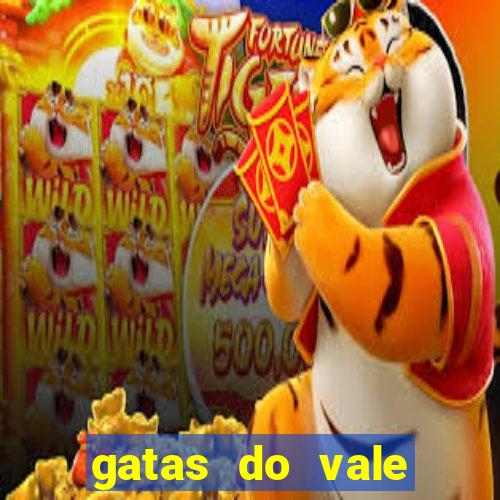 gatas do vale juazeiro bahia