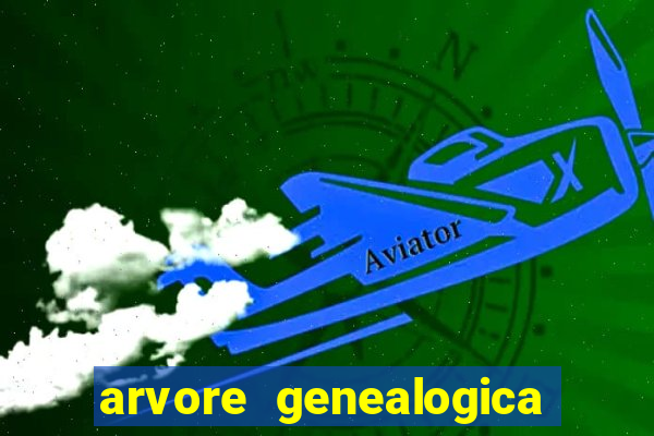 arvore genealogica dos gracie