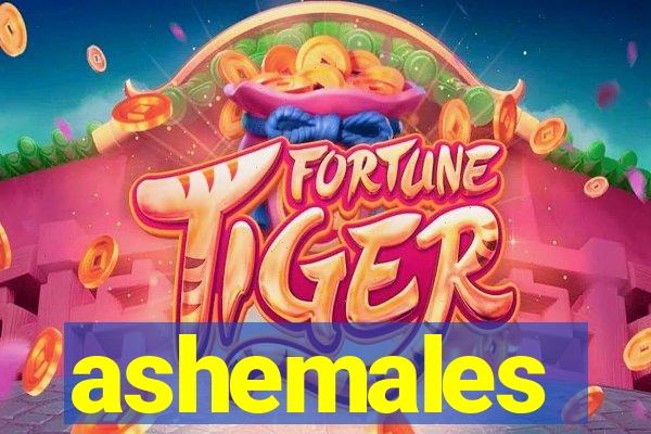 ashemales