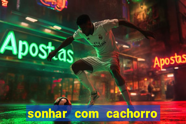 sonhar com cachorro cruzando jogo do bicho