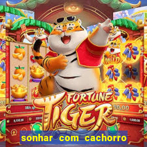 sonhar com cachorro cruzando jogo do bicho