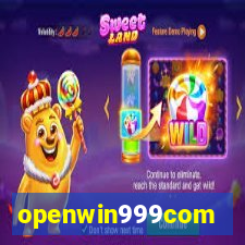 openwin999com