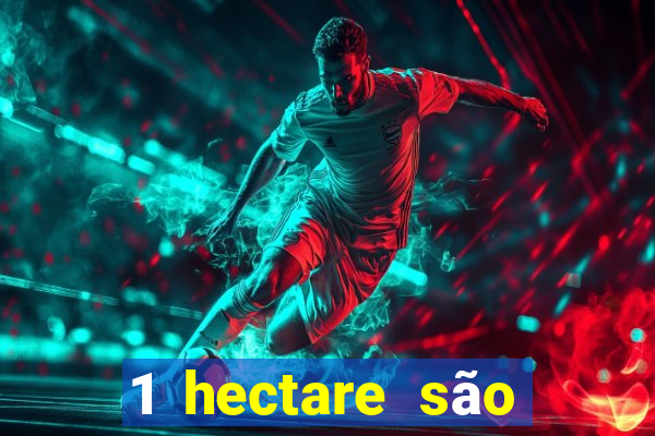 1 hectare são quantas tarefas na bahia