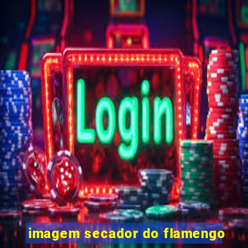 imagem secador do flamengo