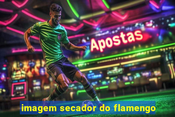 imagem secador do flamengo