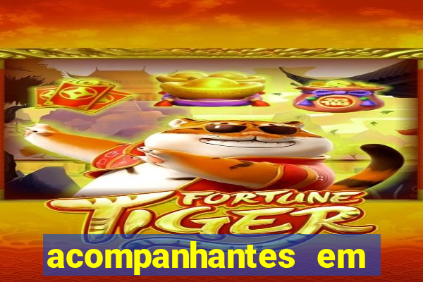 acompanhantes em porto velho rondonia