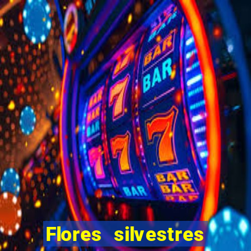 Flores silvestres brasileiras 25