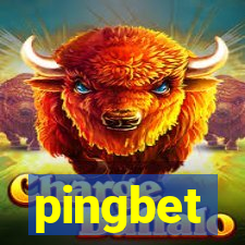 pingbet
