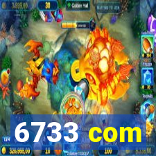 6733 com
