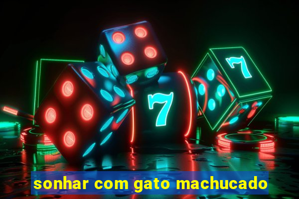 sonhar com gato machucado