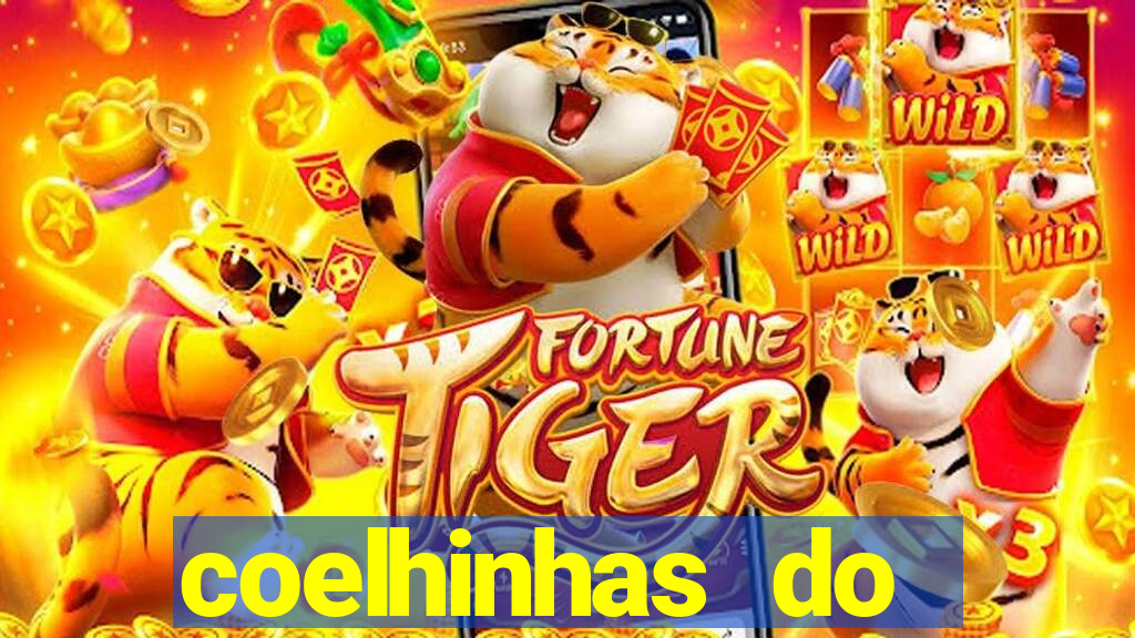 coelhinhas do brasil site