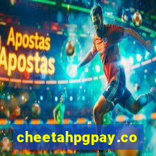 cheetahpgpay.com