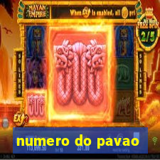 numero do pavao