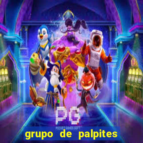 grupo de palpites de futebol whatsapp