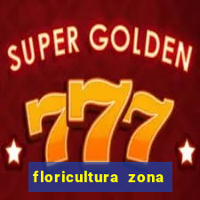 floricultura zona sul porto alegre