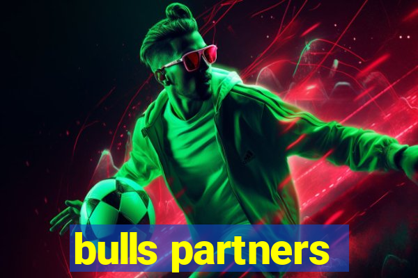 bulls partners