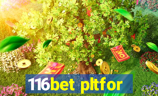 116bet pltfor