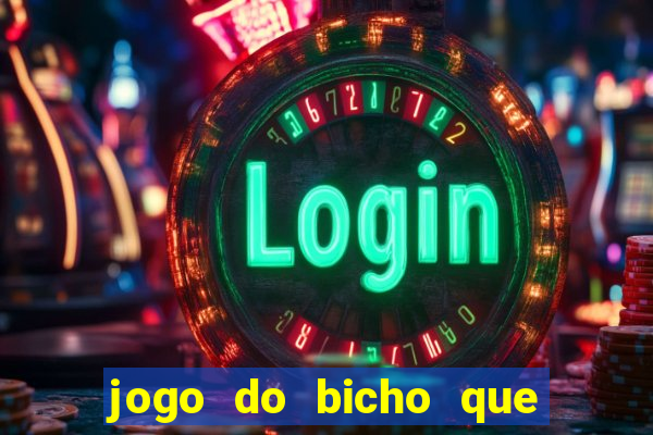 jogo do bicho que paga no pix