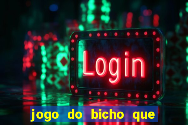 jogo do bicho que paga no pix