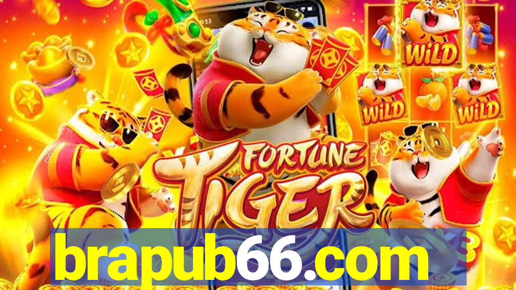 brapub66.com
