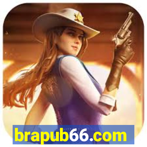 brapub66.com
