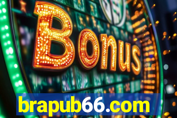 brapub66.com