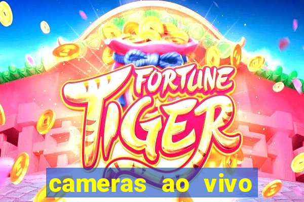 cameras ao vivo porto de santos
