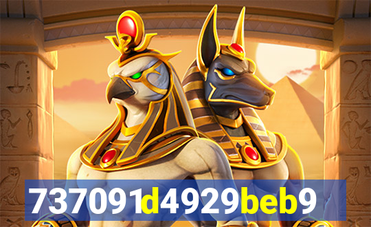plataforma bet917.com